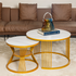 Elite Orbit Nesting Coffee Table Table for Home